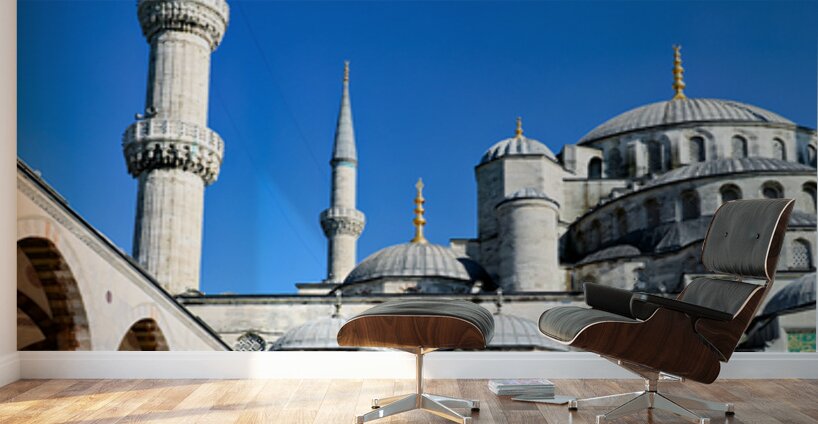Visit to Blue Mosque in Istanbul on a sunny day Wall Murals