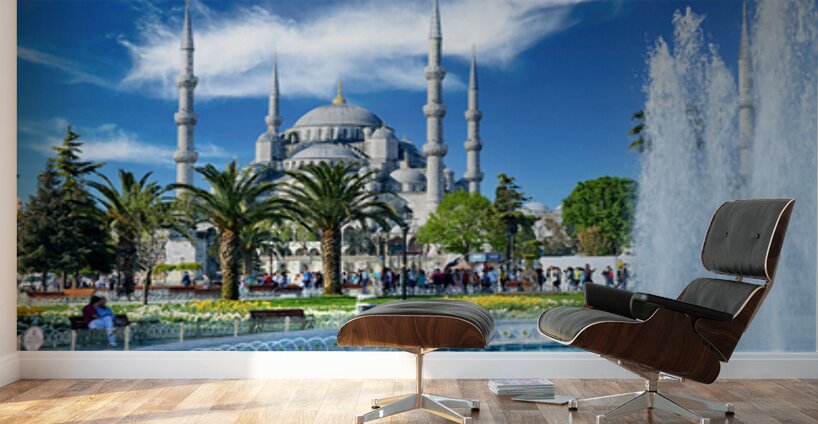 Visit to the Blue Mosque in Istanbul Turkey on a clear day Wall Murals