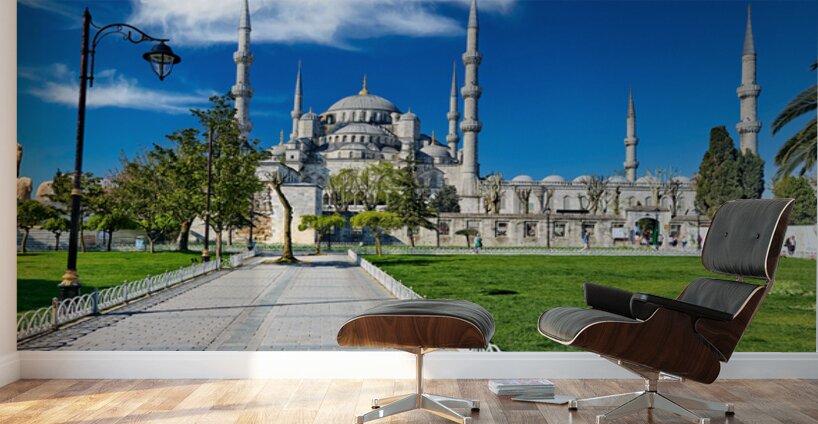 Visit Blue Mosque in Istanbul Turkey with clear sky Wall Murals