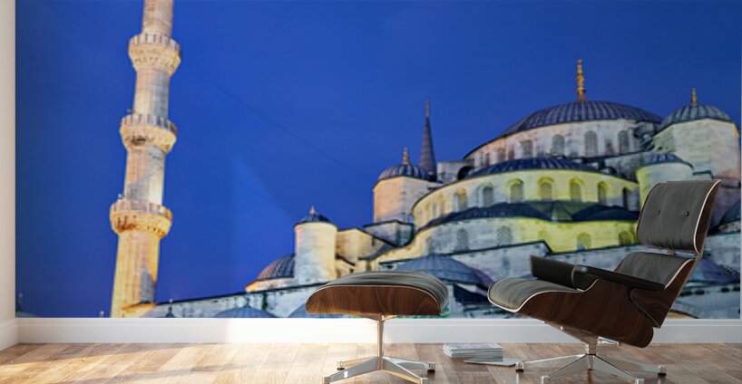 Visit to Blue Mosque in Istanbul at twilight Wall Murals