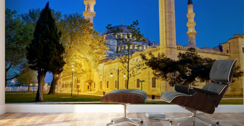 Night view of Suleymaniye Mosque in Istanbul Turkey Wall Murals