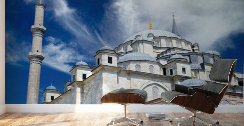 Visit to Fatih Mosque in Istanbul Turkey during sunny day Wall Murals