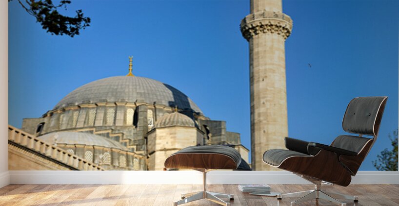 Suleymaniye Mosque in Istanbul under clear blue sky Wall Murals