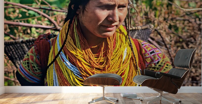 Life in kalash village of bumburet valley in pakistan Wall Murals