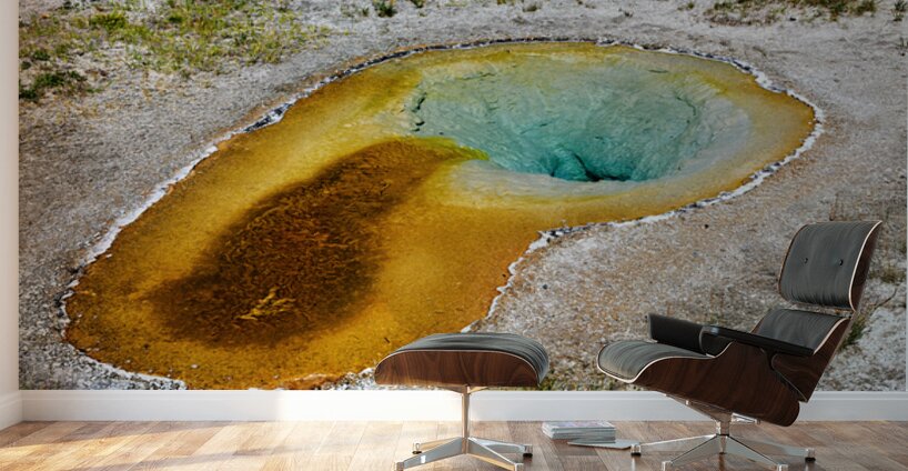 Yellowstone National Park features Beauty Pool in summer Wall Murals