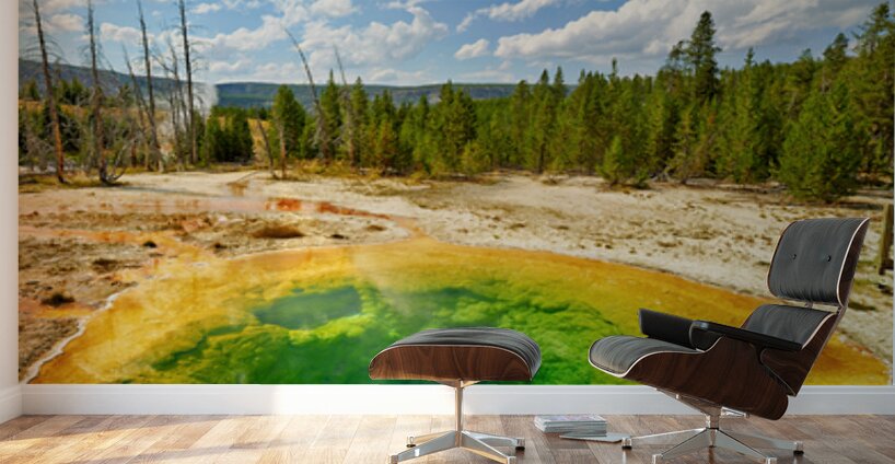 Morning Glory Pool shows colors at Yellowstone National Park Wall Murals