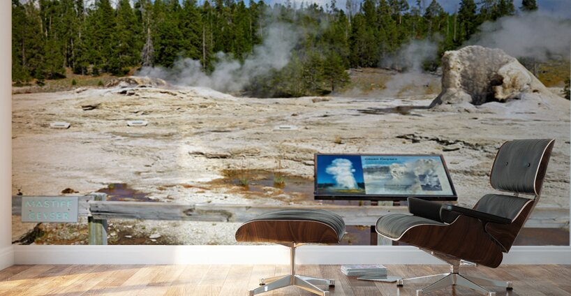 Giant Geyser erupts in Yellowstone National Park during daytime Wall Murals