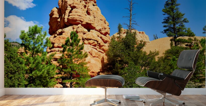 Visit to Dixie National Forest during a sunny afternoon Wall Murals