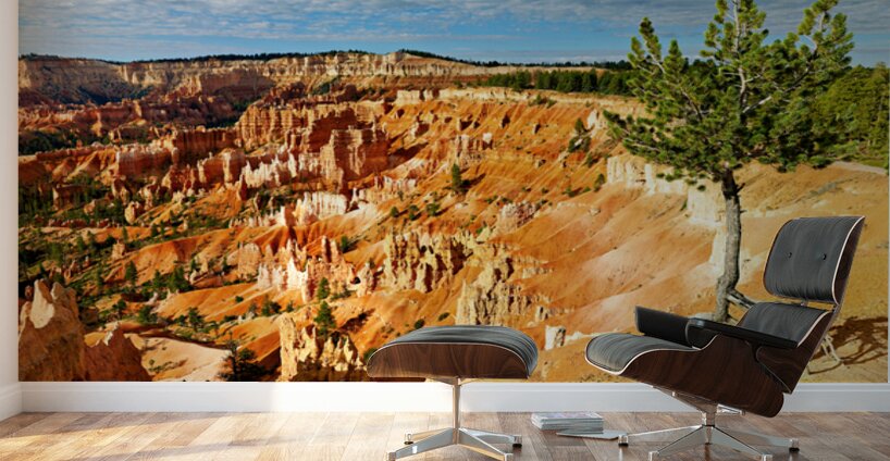 Sunrise at Bryce Canyon National Park near Sunrise Point Wall Murals