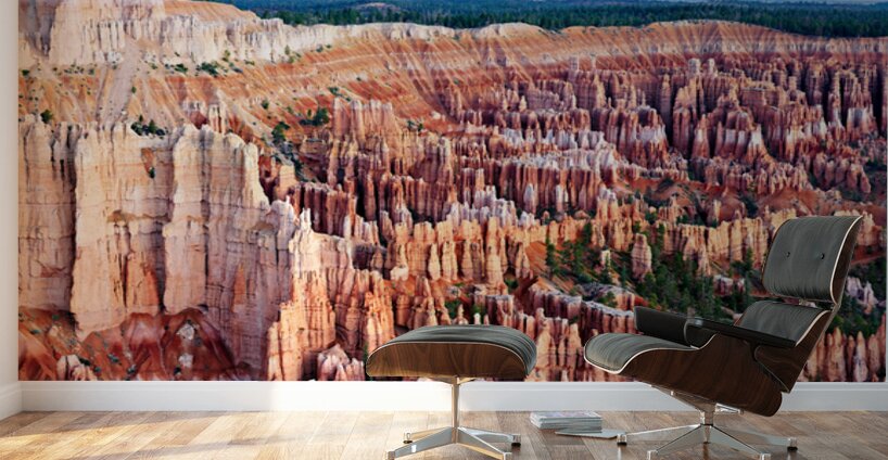 View from bryce point in bryce canyon national park Wall Murals