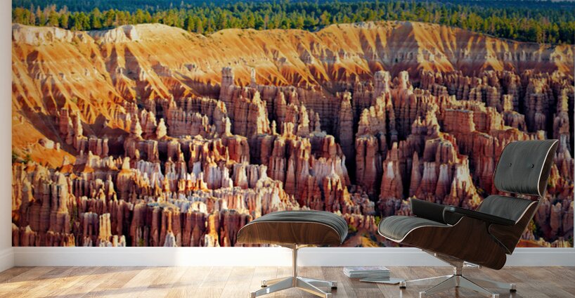 Views of bryce point at bryce canyon national park Wall Murals