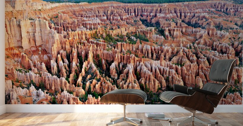 Explore Bryce Point in Bryce Canyon National Park at sunset Wall Murals