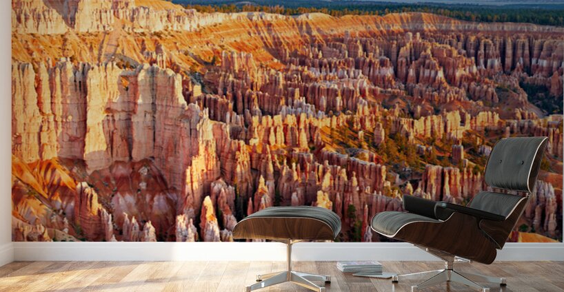 View of Bryce Canyon from Bryce Point during sunset Wall Murals