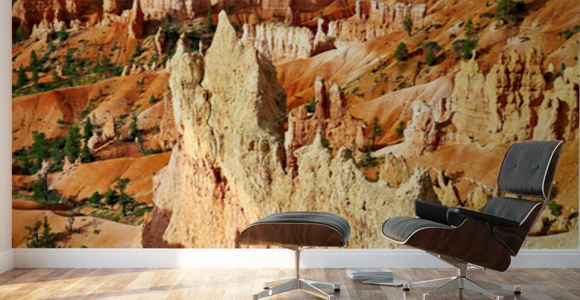 Sunrise at bryce canyon national park in usa Wall Murals