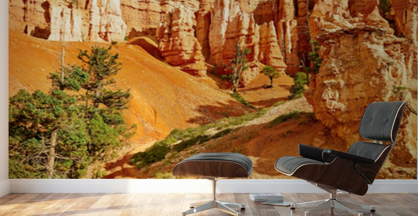 Explore queens garden in bryce canyon national park Wall Murals