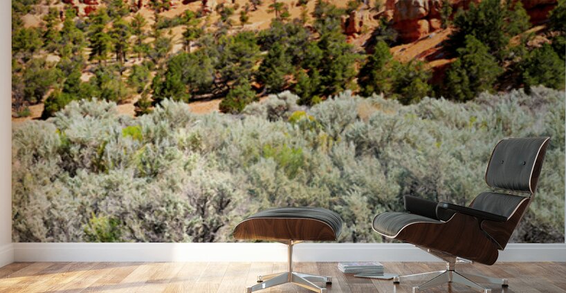 Visit Dixie National Forest in Utah with red rock formations Wall Murals