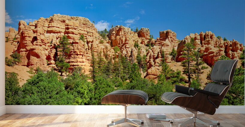 Scenes from Dixie National Forest in Utah during daytime Wall Murals