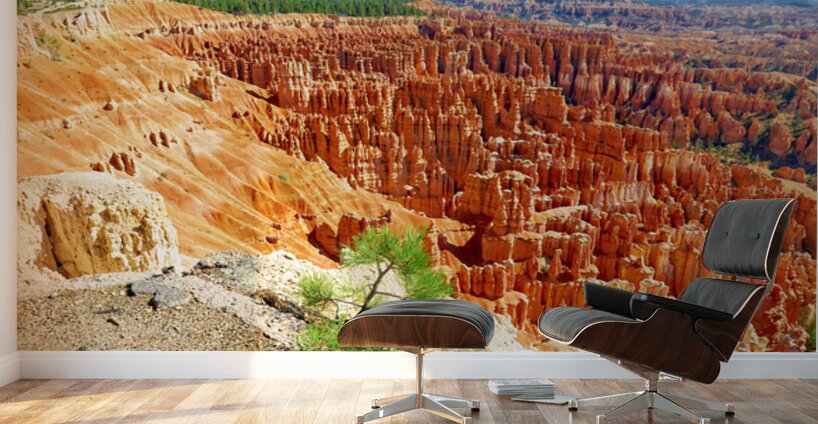 View from inspiration point at bryce canyon national park Wall Murals