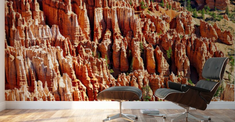View from inspiration point at bryce canyon national park Wall Murals