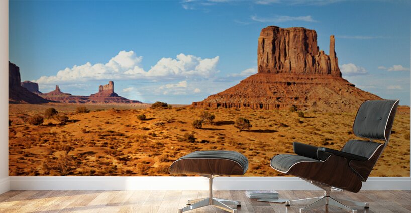Explore monument valley in the usa national park Wall Murals
