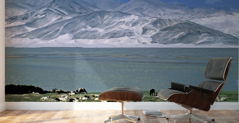 Mountains and livestock in Uzbekistan landscape Wall Murals