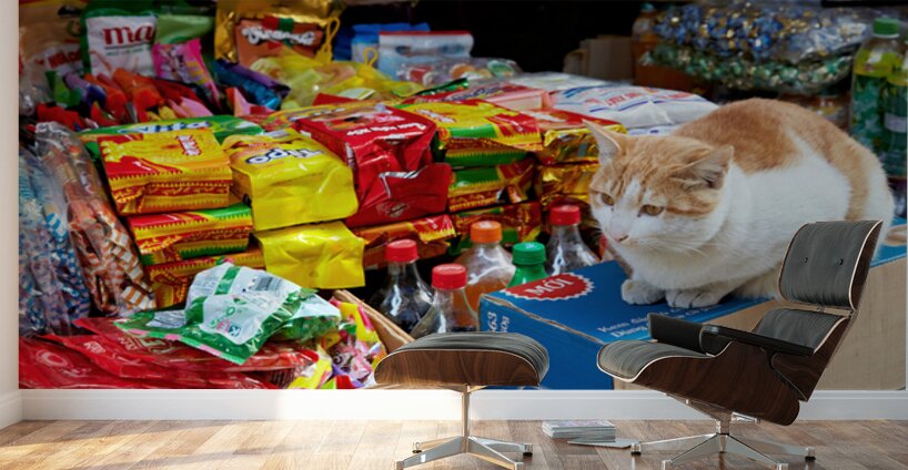 Cat sitting on boxes in Hanoi market during daytime Wall Murals