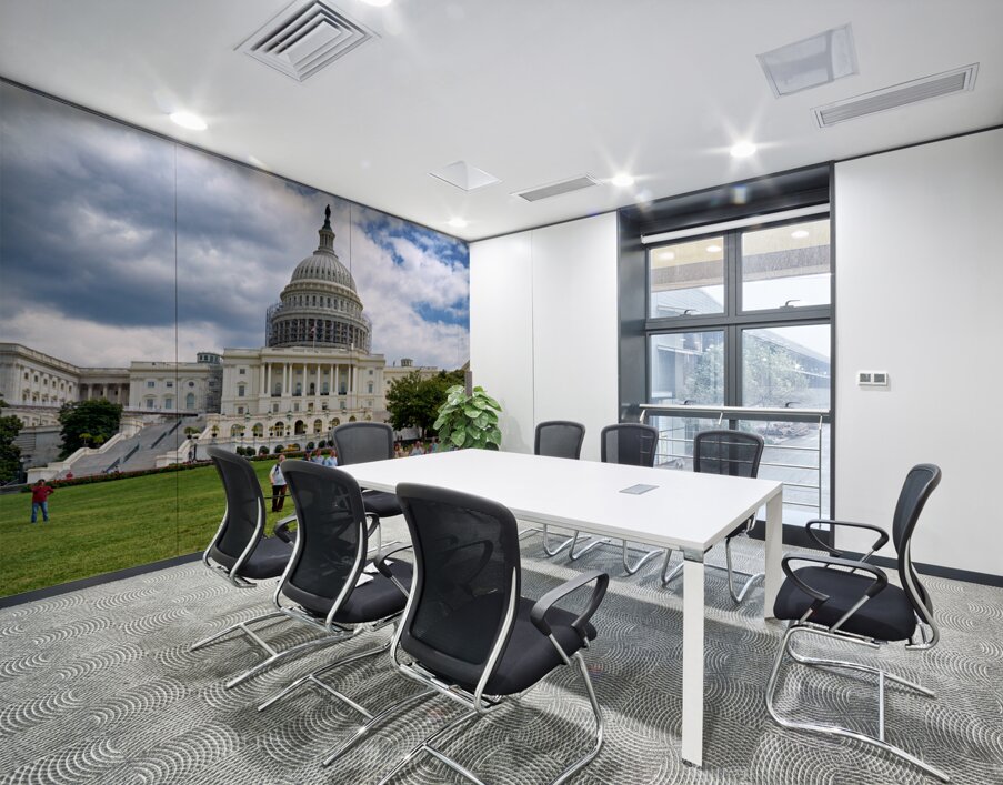 The United States Capitol. Washington D.C. Wall Printing