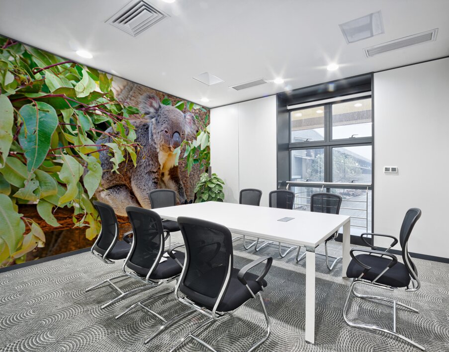 Koala sits on a branch surrounded by eucalyptus leaves. Wall Printing