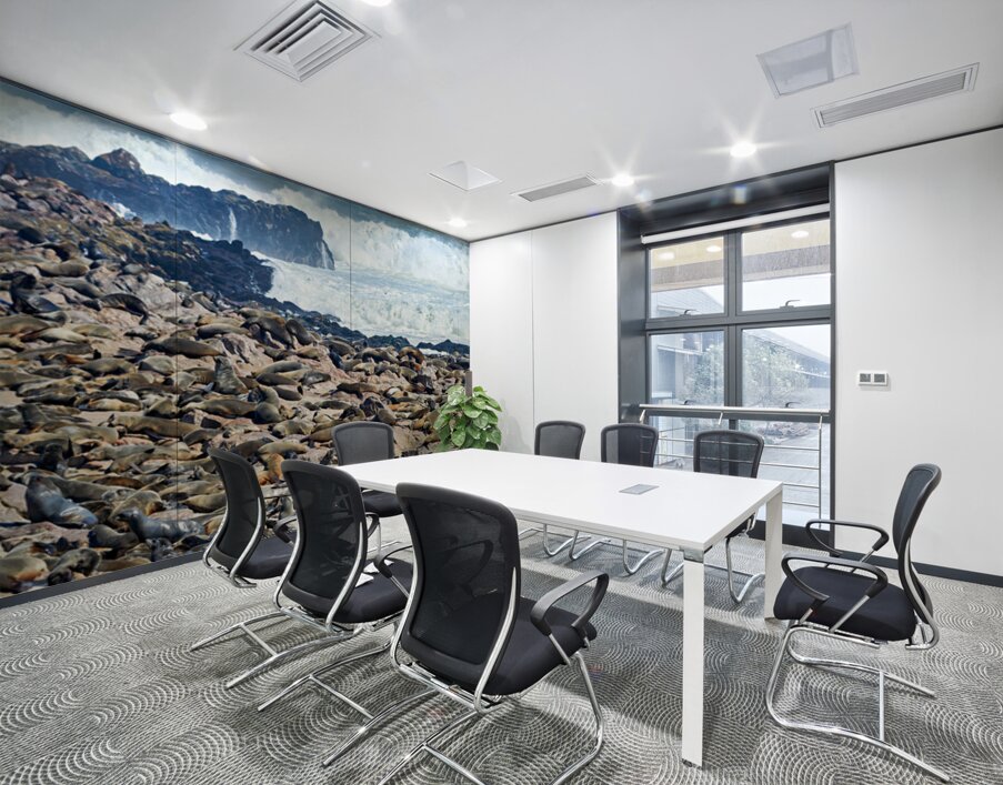 Cape fur seals resting on Skeleton Coast in Namibia near Cape Cr Wall Printing