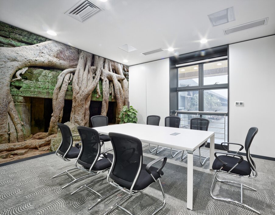 Massive tree roots dominate ancient mossy temple structure. Wall Printing