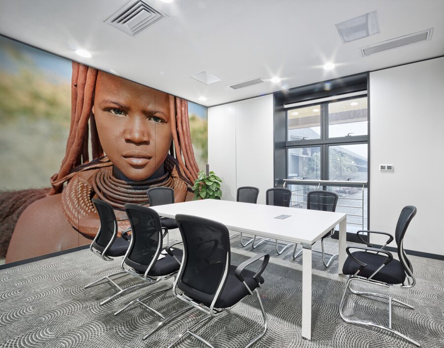 Portrait of a Himba woman in Kunene region of Namibia Wall Printing