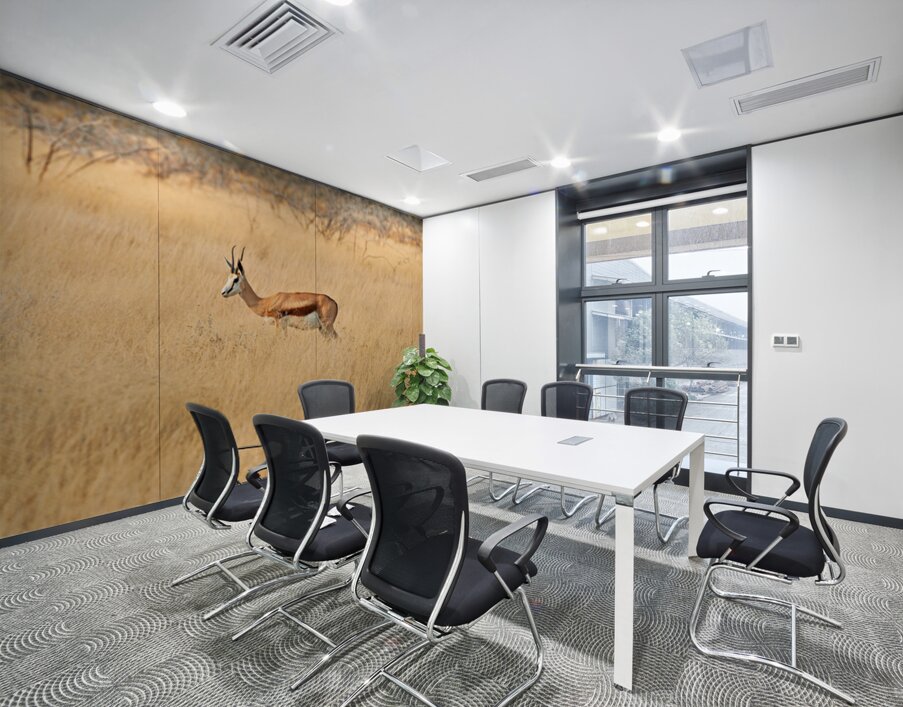 Springbok gazelle antelope walking in Etosha National Park Namib Wall Printing