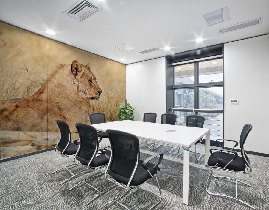 Lion resting in Etosha National Park Namibia during the day Wall Printing