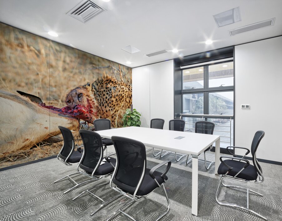 Cheetah feeding on its kill in Okonjima Reserve Namibia Wall Printing