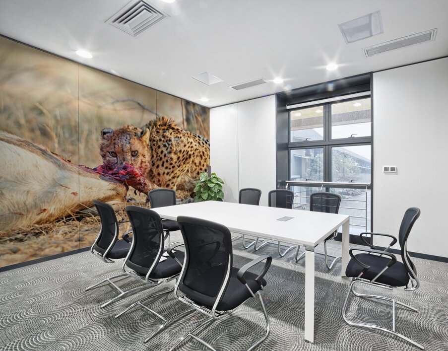 Cheetah feeding on prey in Okonjima Reserve in Namibia Wall Printing