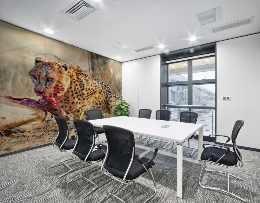 Cheetah feeding on prey in Okonjima Reserve Namibia Wall Printing