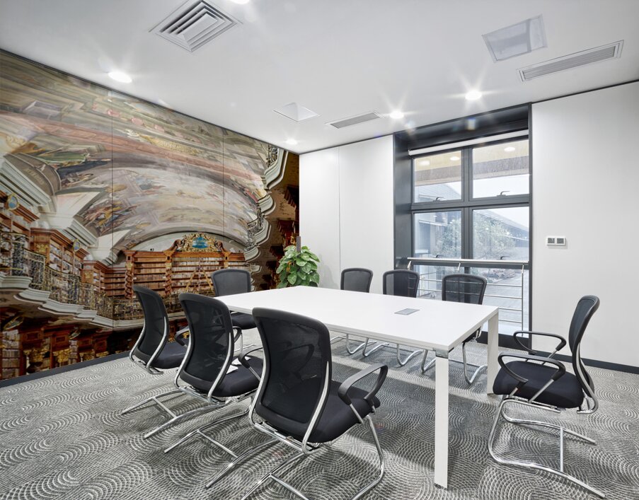 Grand baroque library with painted ceilings and countless books. Wall Printing