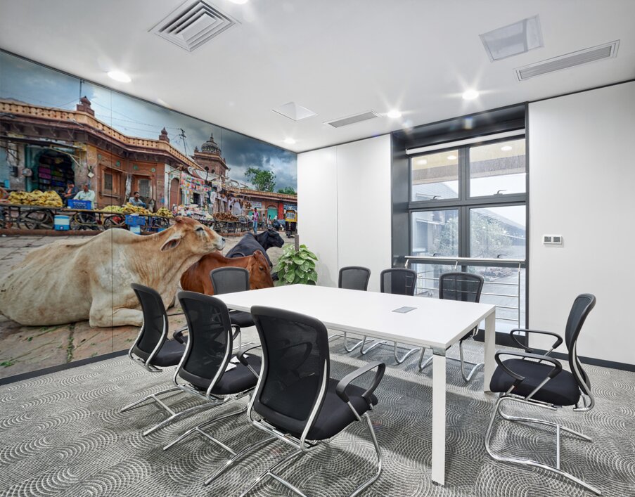 Cows resting at Sardar Market in Jodhpur Rajasthan during the d Wall Printing