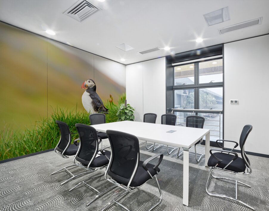 Puffin standing on grass in Borgarfjordur Eystri Iceland Wall Printing
