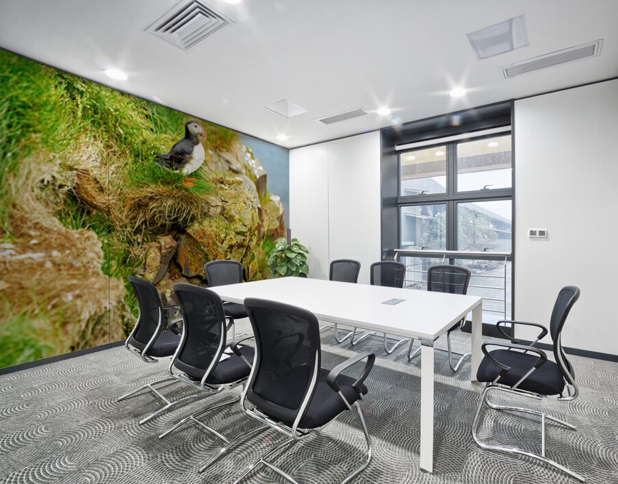 Puffin stands on rocks by the sea in Borgarfjordur Eystri Wall Printing