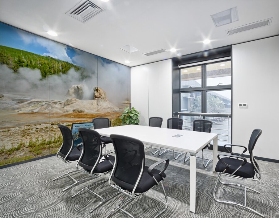 Grotto Geyser erupts in Yellowstone National Park Wall Printing