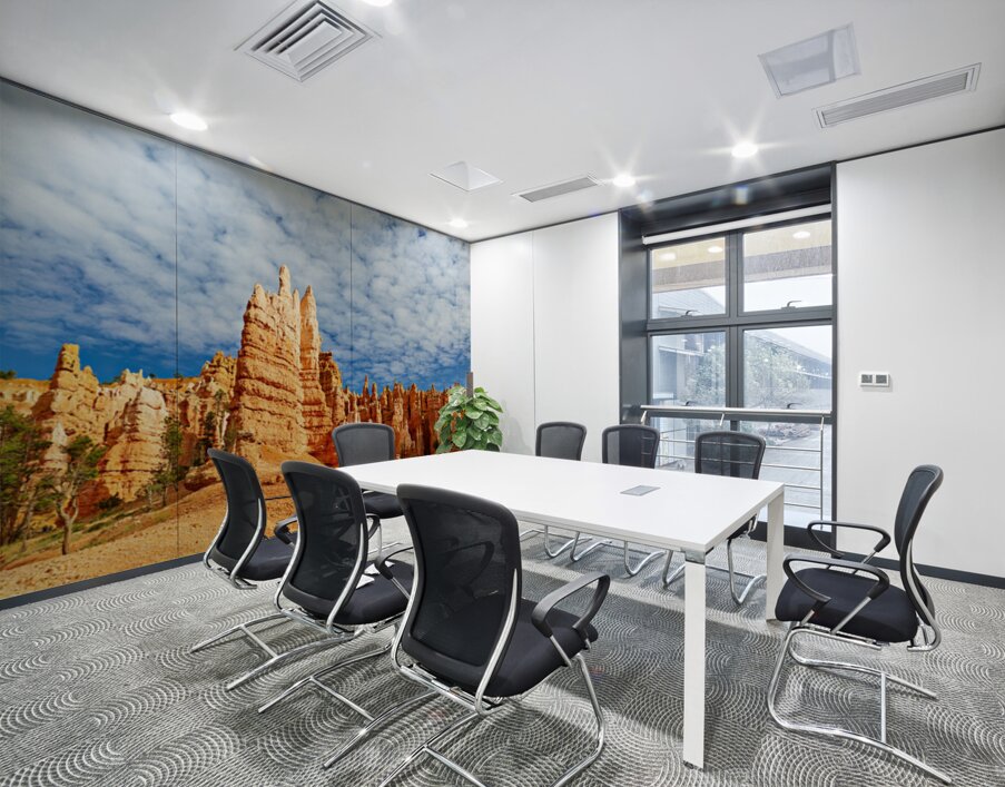 NP USA 00669 Wall Printing