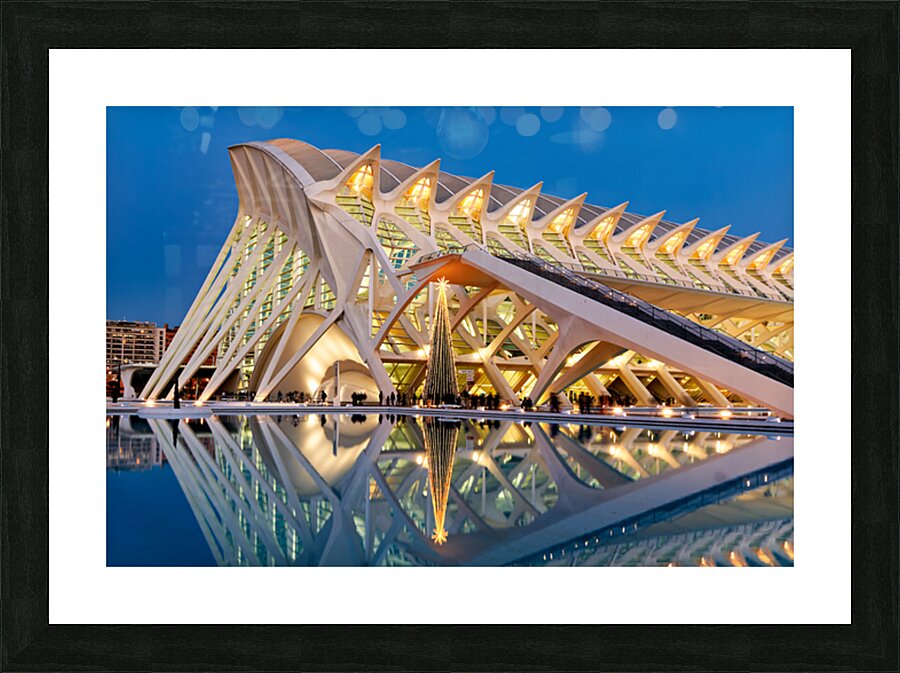 Visit to Museu de les Ciències Príncipe Felipe in Valencia Spa Picture Frame print