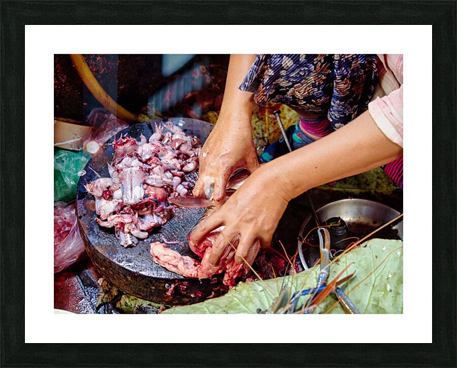Hands preparing raw frog meat and seafood. Picture Frame print