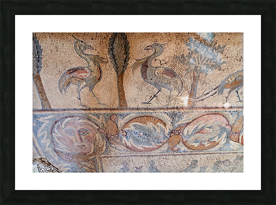 Mosaics on the floor of the Apostles Church in Madaba Jordan Picture Frame print