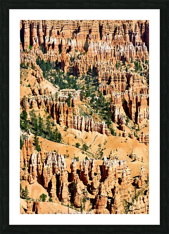 Explore Bryce Canyon National Park at Bryce Point viewpoint Picture Frame print