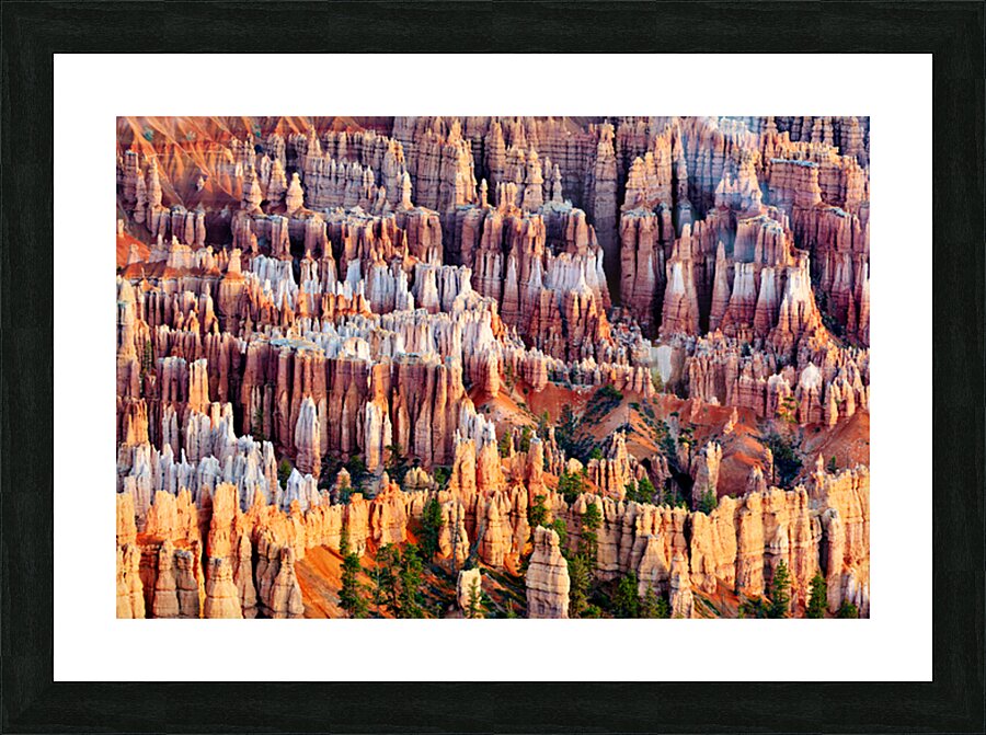 Views from bryce point in bryce canyon national park Picture Frame print