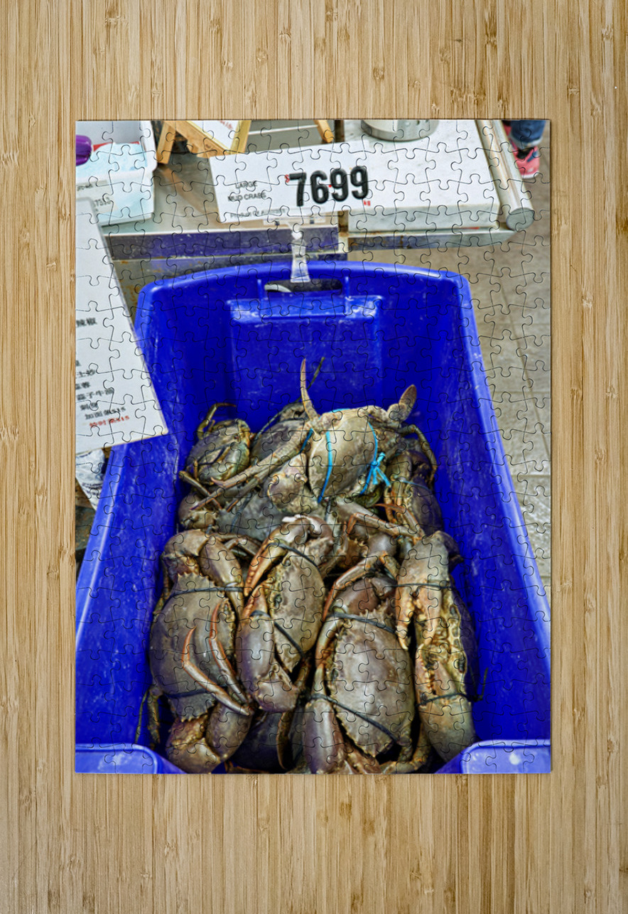 Large Mud Crabs for sale at $76.99 per kg. Marco Brivio Puzzle printing