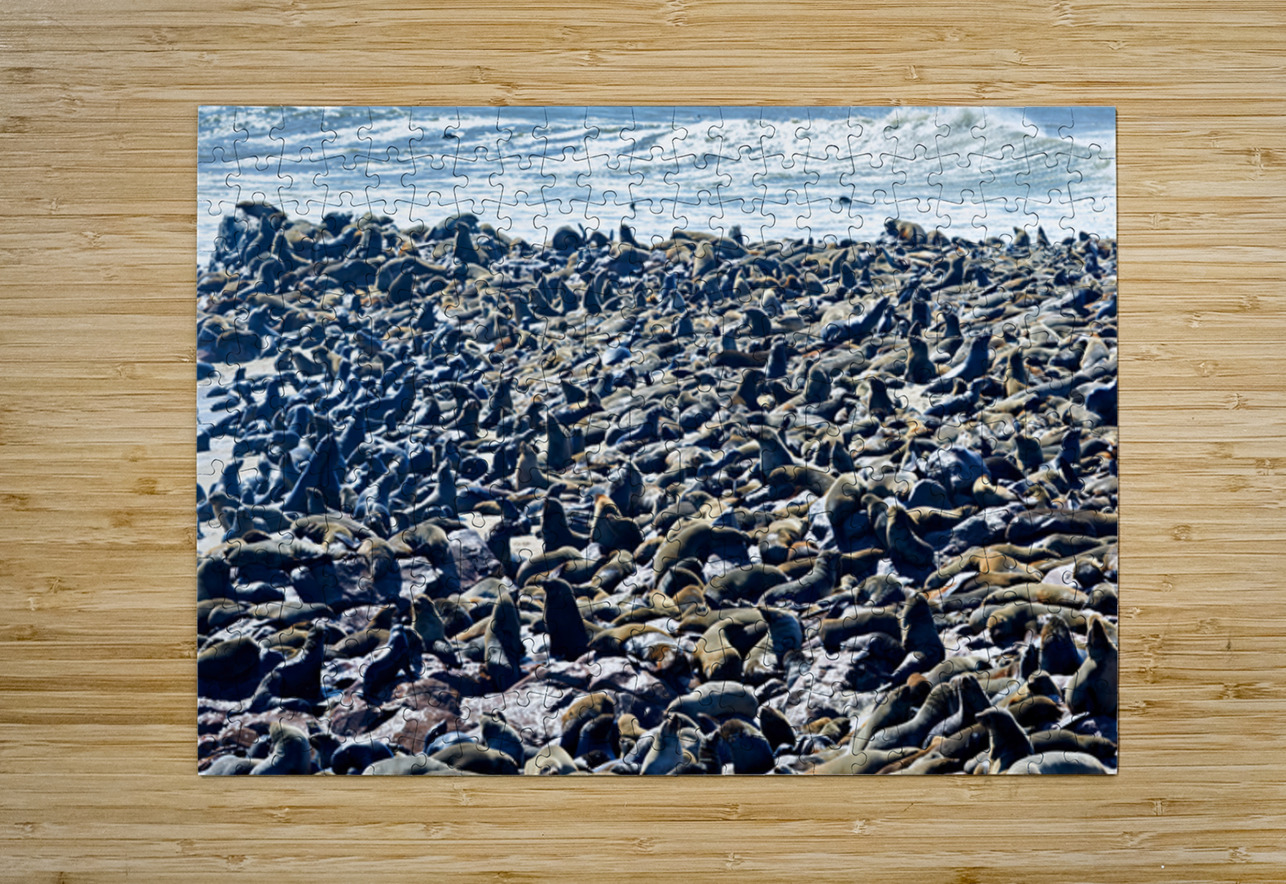 Cape fur seal colony on Skeleton Coast at Cape Cross in Namibia Marco Brivio Puzzle printing