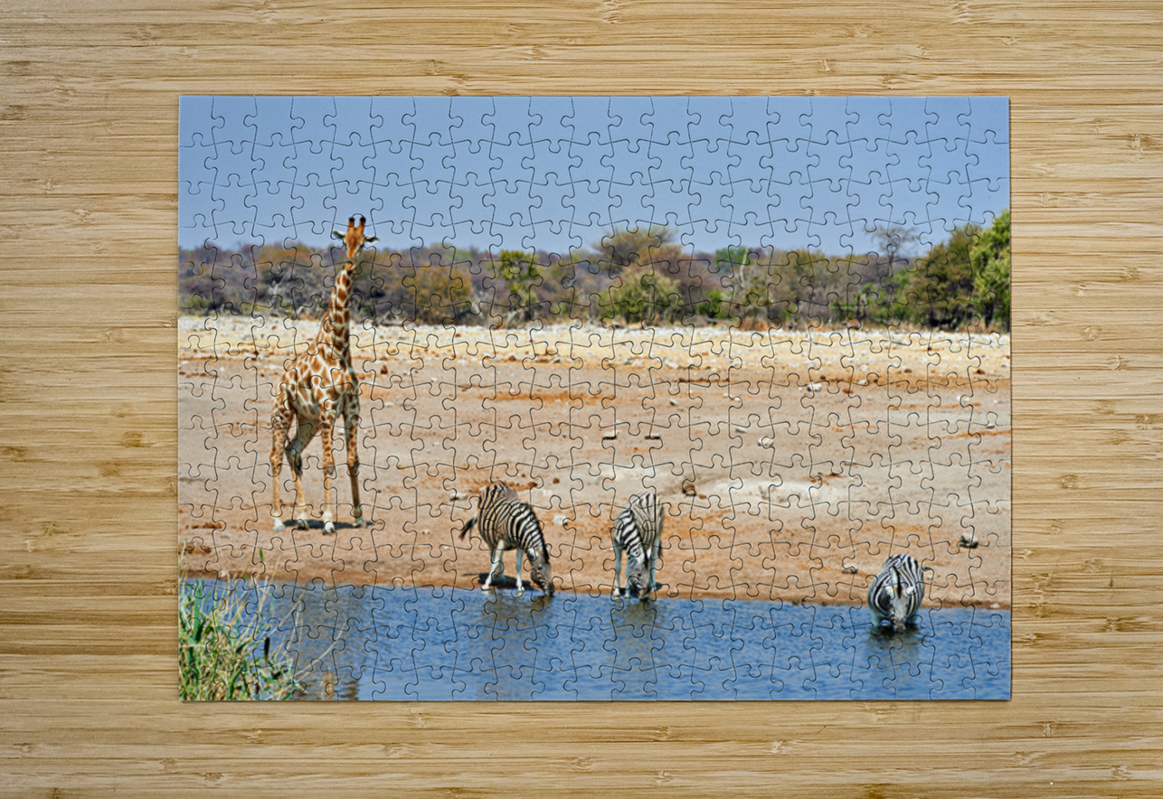 Giraffe and zebras drink water together at a waterhole in Namibi Marco Brivio Puzzle printing